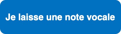 la description textuelle de ton image